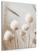 Tablou tulpini de bumbac