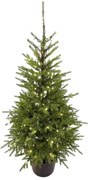 Brad în ghiveci 3D Molid Carpatic 120cm 150LED