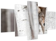 Tablou - Lup (150x105 cm)