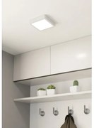 Eglo 900589 - Plafonieră LED dimabilă FUEVA LED/11W/230V, albă