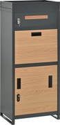 Cutie pentru colete și scrisori cu jardinieră integrată, 50x37x118,5 cm, Gri+Culoare naturală