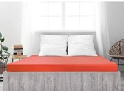 Cearșaf de pat 4Home jersey Ideal strawberry , 160 x 200 cm, 160 x 200 cm