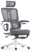 Scaun ergonomic cu suport lombar, tetieră reglabilă, suport pentru picioare, pivotant, Mesh, Alb/Gri