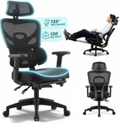 Scaun ergonomic, Suport Lombar 3 Zone Dinamice, Spătar ajustabil pe inaltime, cotiere 3D, tetiera 3D, suport pentru picioare, umeras, pivotant, Mesh, Negru