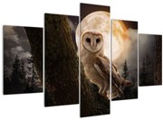 Tablou cu bufnița (150x105 cm)