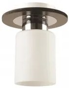 Plafoniera moderna 1 bec E27 Andra EL0030161 Erste