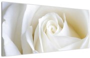 Tablou cu tandafir alb (120x50 cm)