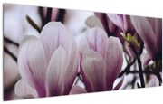 Tablou - Magnolie (120x50 cm)