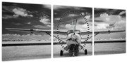 Tablou - Avion alb-negru și alb-negru (cu ceas) (90x30 cm)