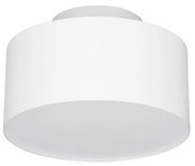 Spot aplicat, Plafoniera LED Ozen alb, 14cm