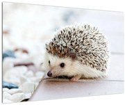 Tablou cu arici (90x60 cm)