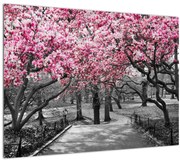 Tablou copacului magnolie (70x50 cm), în 40 de alte dimensiuni noi