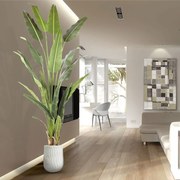 Planta artificiala decorativa Palma viajero, H240