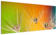 Tablou cu picături pe plantă (120x50 cm)