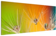 Tablou cu picături pe plantă (120x50 cm)