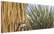 Tablou - Pănțărușul (120x50 cm)