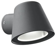 Aplica de exterior cu protectie IP43 GAS AP1 ANTRACITE 091525