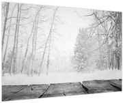 Tablou - Pier de lemn în timpul iernii (90x60 cm)