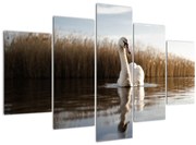 Tablou cu lebăda (150x105 cm)