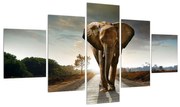 Tablou cu elefant (125x70 cm), în 40 de alte dimensiuni noi