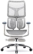 Scaun ergonomic SIHOO S100, cotiere 4D ultra moi, suport lombar adaptiv, spătar reglabil pe inaltime, sezut cu translatie, mecanism multifunctional inclinare/blocare, suport picioare, pivotant, Mesh, Gri