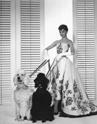 Fotografie Audrey Hepburn