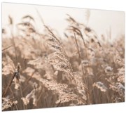 Tablou - Adiere de luncă (70x50 cm)