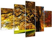 Tablou cu toamna (150x105 cm)