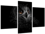 Tablou - Bufniță, ilustrație (90x60 cm)