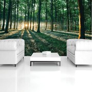 Fototapet - Pădure (254x184 cm)