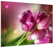Tablou cu lalele roz (70x50 cm)