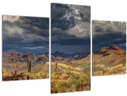 Tablou - cactușii în natură (90x60 cm)