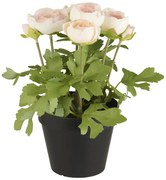 IB Laursen Ranunculus artificial roz deschis in ghiveci