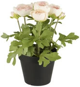 IB Laursen Ranunculus artificial roz deschis in ghiveci