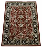 Covor Lotus 9305 roșu, 80 x 150 cm, 80 x 150 cm