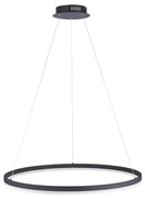 Lustră LED dimabilă pe cablu TITUS LED/50W/230V Paul Neuhaus 2383-13