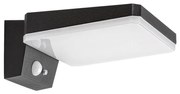 Rabalux 77078 - Lampă solară LED de perete LASSET LED/4,4W/3,7V IP54 negru