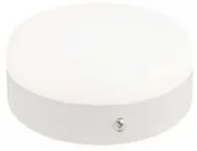 Plafoniera moderna LED SMD 16W CARLA-16 HOROZ