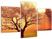 Tablou cu razele lui Dumnezeu (90x60 cm)