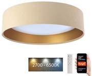 Plafonieră LED SMART GALAXY LED/24W/230V Wi-Fi Tuya bej/aurie + telecomandă