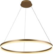 Brilagi - Lustra LED reglabilă CIRCLE, 55W/230V, 3000-6500K, auriu + telecomandă