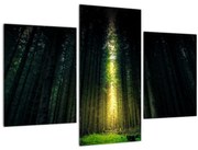 Tablou cu pădurea întunecată (90x60 cm)