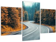 Tablou - Drumul cu serpentine (90x60 cm)