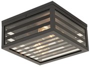Plafoniera moderna pentru exterior cu sticlă neagră cu 2 lumini IP44 - Reims