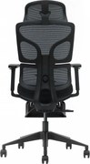 VERTEX PRO – Scaun Ergonomic Premium, Suport Lombar Dublu cu arc și reglaj al tensiunii, Cotiere 3D, Tetieră reglabilă, Șezut Glisant, Suport pentru picioare extensibil, Negru