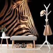 Fototapet portretul unei zebre