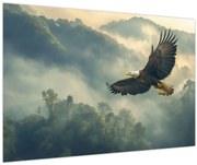 Tablou - Vultur în zbor (90x60 cm)