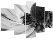 Tablou - Floare în alb-negru (150x105 cm)