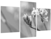 Tablou - Floare înflorită (90x60 cm)