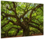 Tablou - Copac verde (70x50 cm)